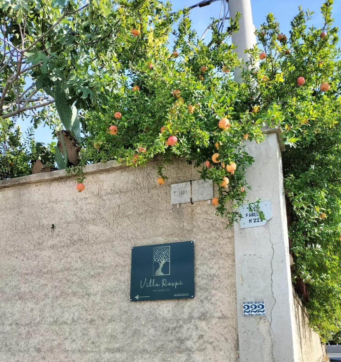 Villa Rospi Бари Екстериор снимка